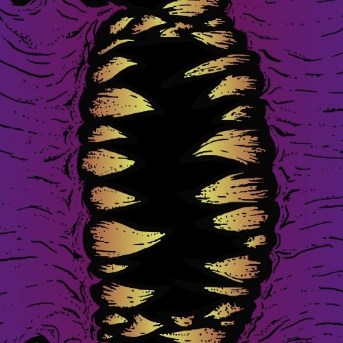 Evolve! Morph 1