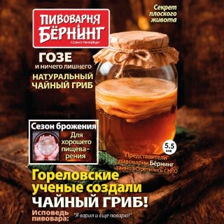 Чайный Гриб