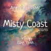 Misty Coast