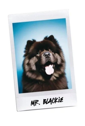MR. BLACKIE