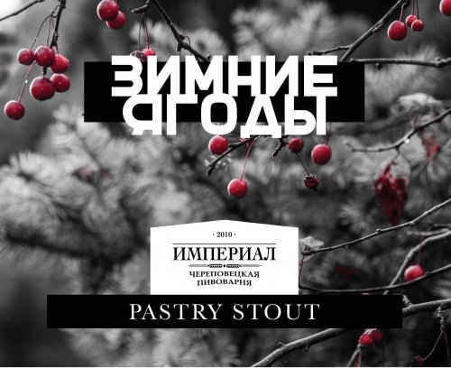 Зимние ягоды