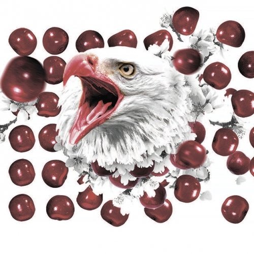 Cherry American Fields