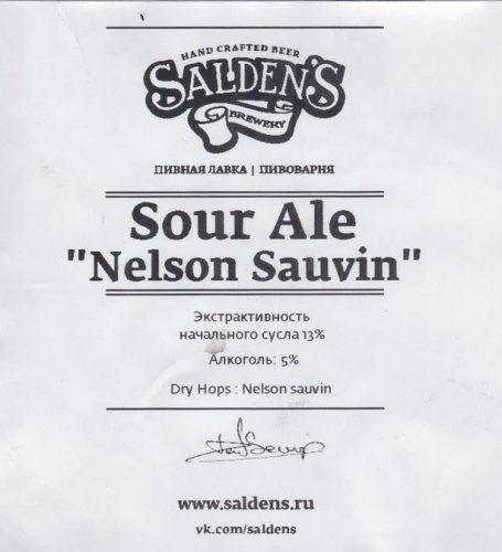 Sour Ale Nelson Sauvin