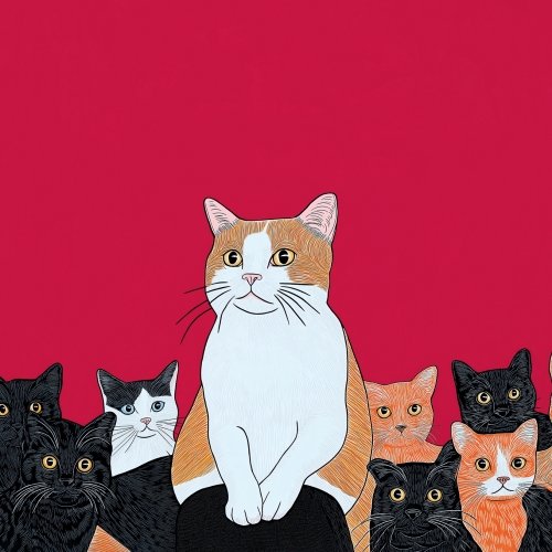 Death By A Thousand Cats