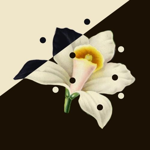 Algorithm Vanilla
