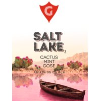 SALT LAKE 3 | cactus • mint