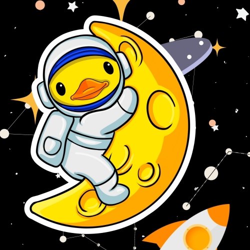 Duck On a Ride