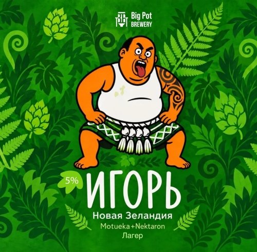 Игорь Новая Зеландия