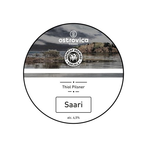 Saari