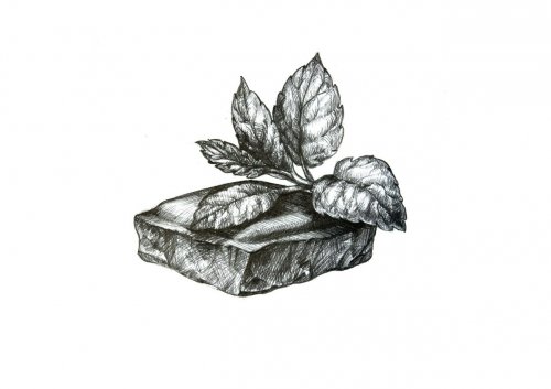 SKETCH:Mint&Chocolate Porter