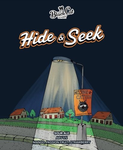 Hide&Seek