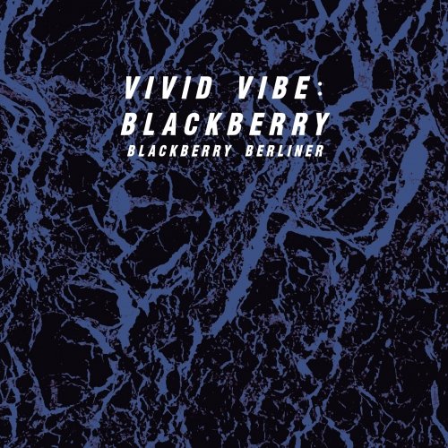 Vivid Vibe: Blackberry