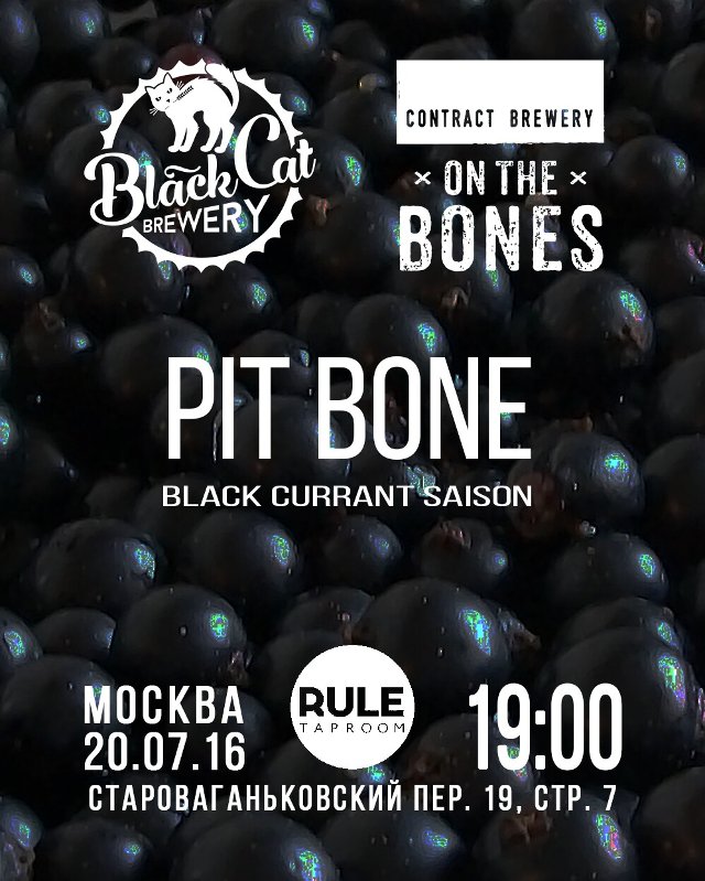 Презентация PIT BONE