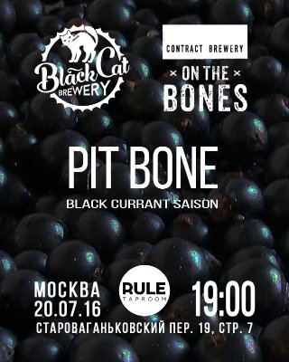 Презентация PIT BONE