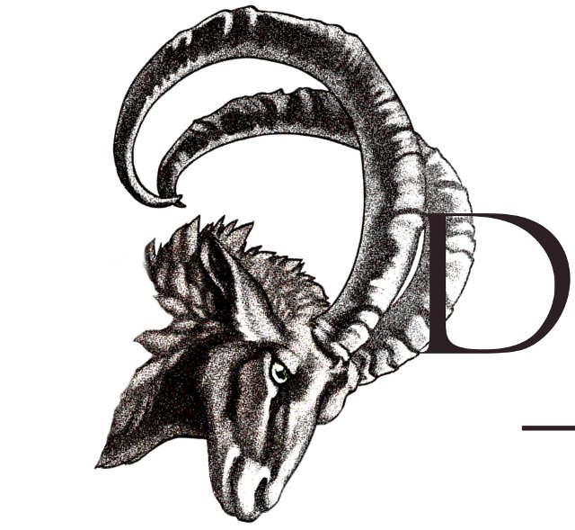 DoppelBock
