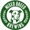 2022 Holiday Stout