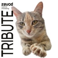 Tribute