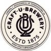 Briman Golden Ale на чернике