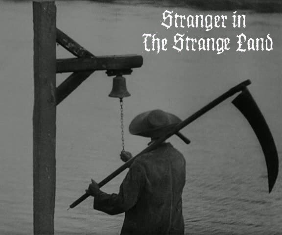Stranger In the Strange Land