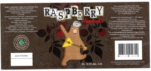 Raspberry Sour Ale