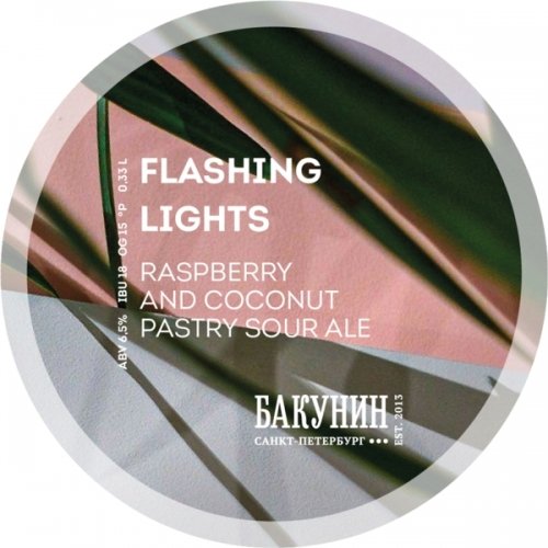 FLASHING LIGHTS
