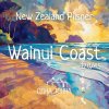 Wainui Coast