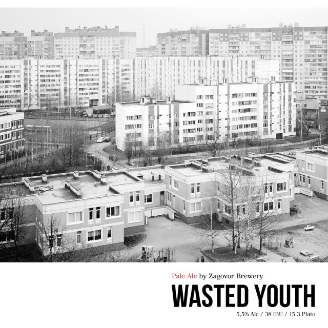 Wasted Youth (2015)