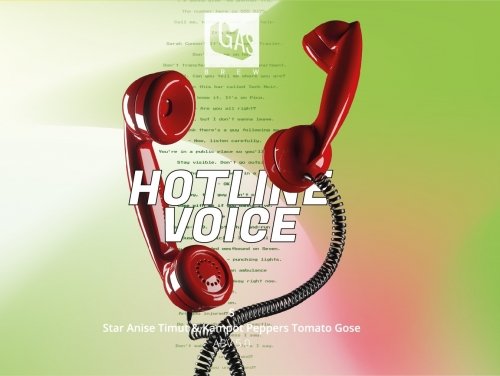 Hotline Voice #3