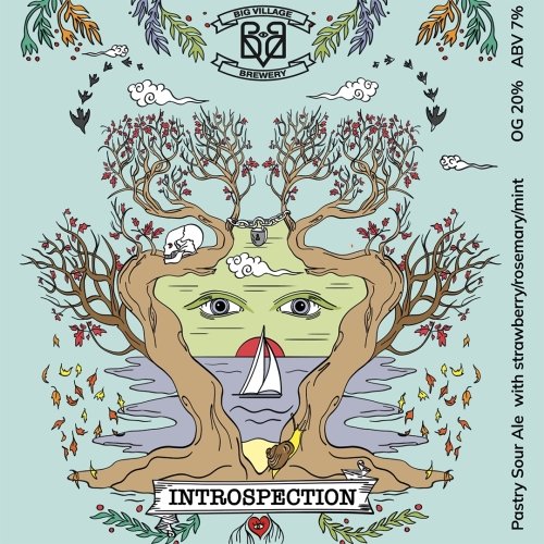 INTROSPECTION