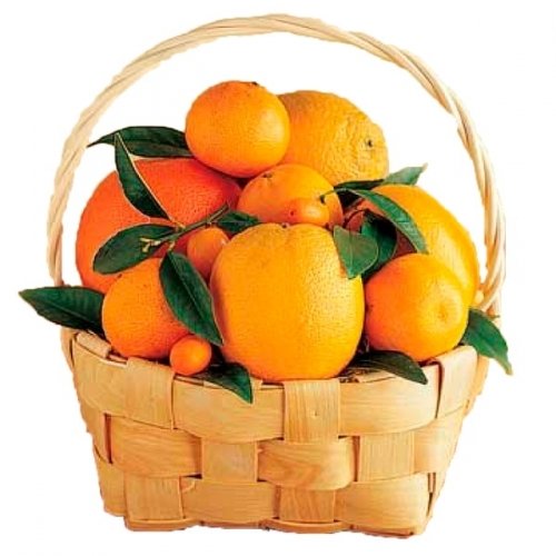 Citrus Basket