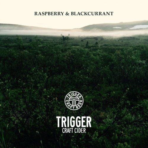 Raspberry Cider