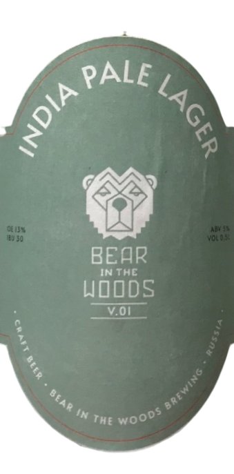 Bear In the Woods
