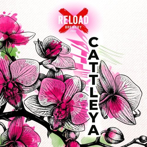 Cattleya