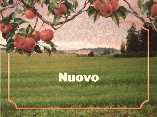 Nuovo