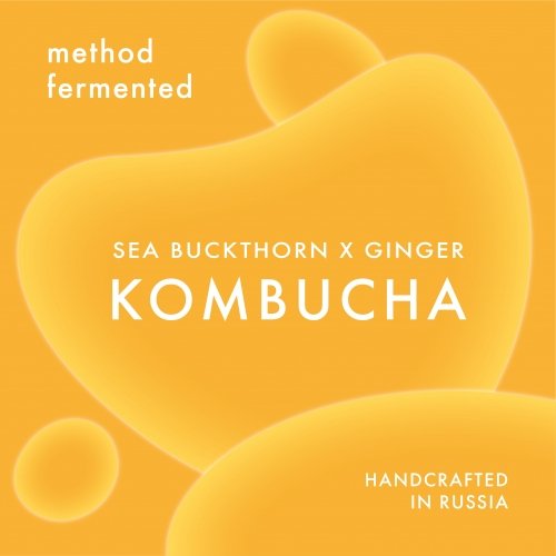 Method Fermented Kombucha W/ Sea Buckthorn & Ginger