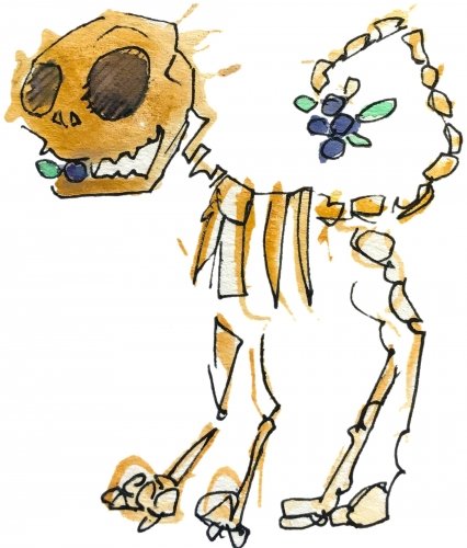 Pit Bone