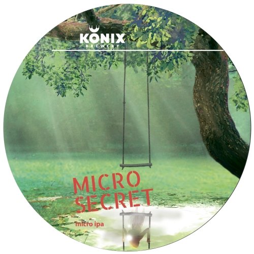 Micro Secret