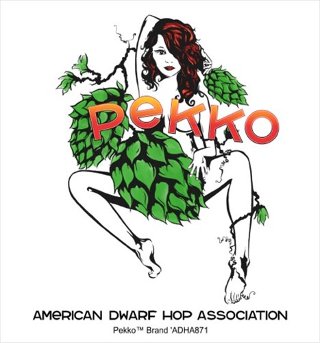 Pekko Imperial Pilsner в ГлавПивМаг Баре