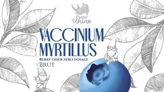 Vaccinium Myrtillus Berry Cider Zero Dosage Brut 2023