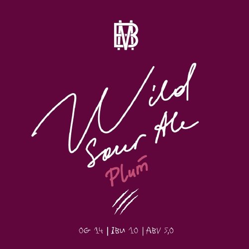 Wild Sour Ale Plum