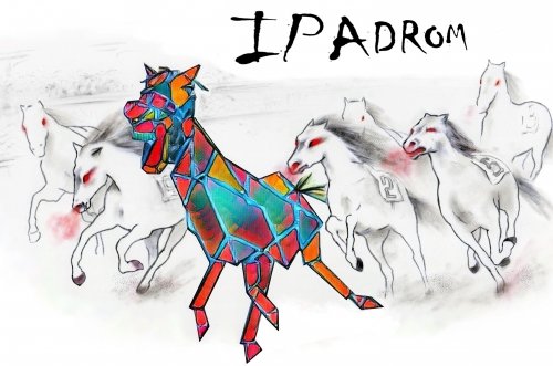 IPAdrom