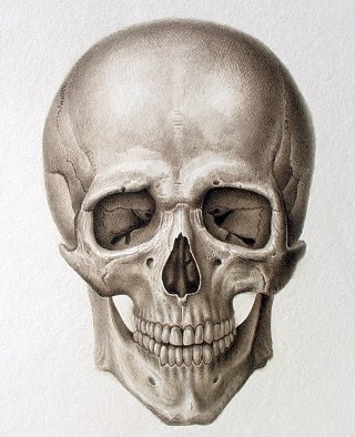 OLD SKULL FEST 2016