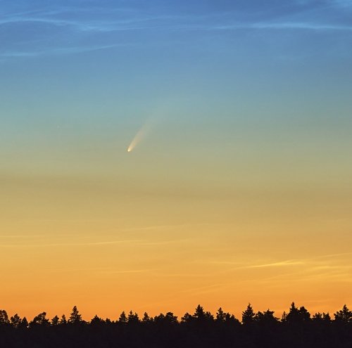 Neowise